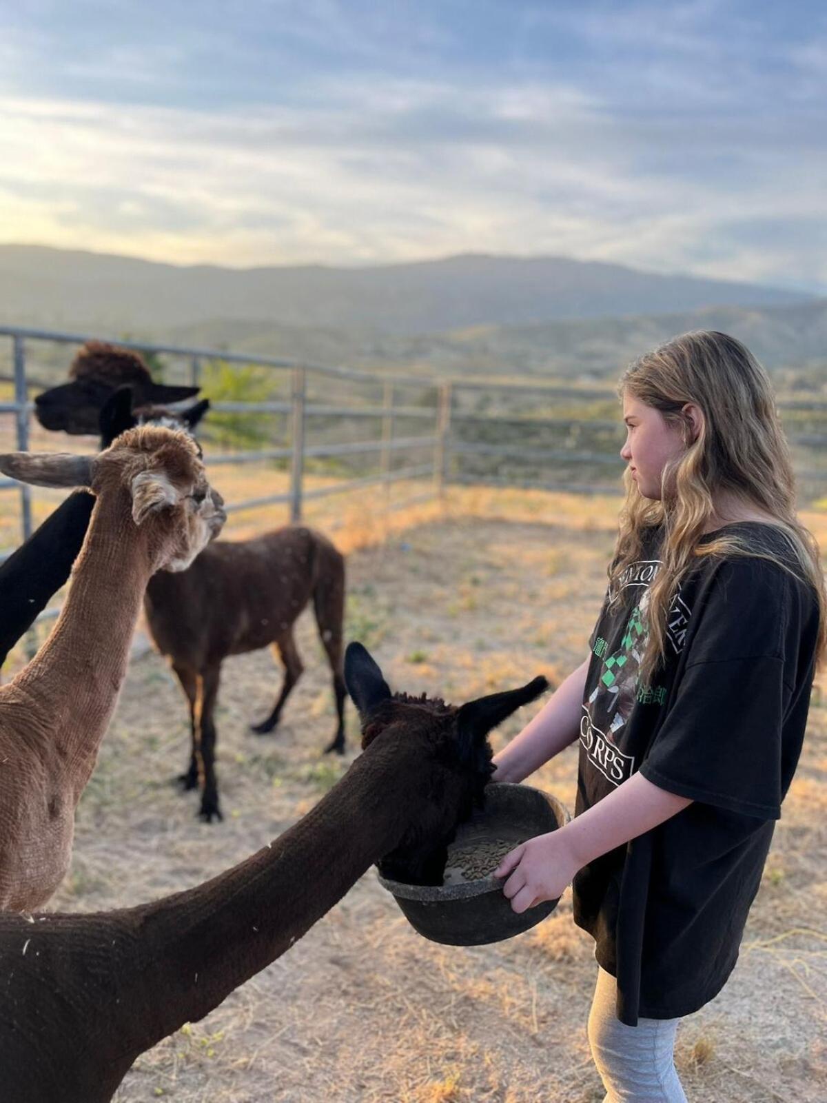 Alpaca Rustic Ranch-Peaceful & Breathtaking Views Apartment Santa Clarita Bagian luar foto