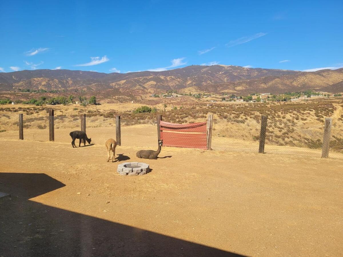 Alpaca Rustic Ranch-Peaceful & Breathtaking Views Apartment Santa Clarita Bagian luar foto