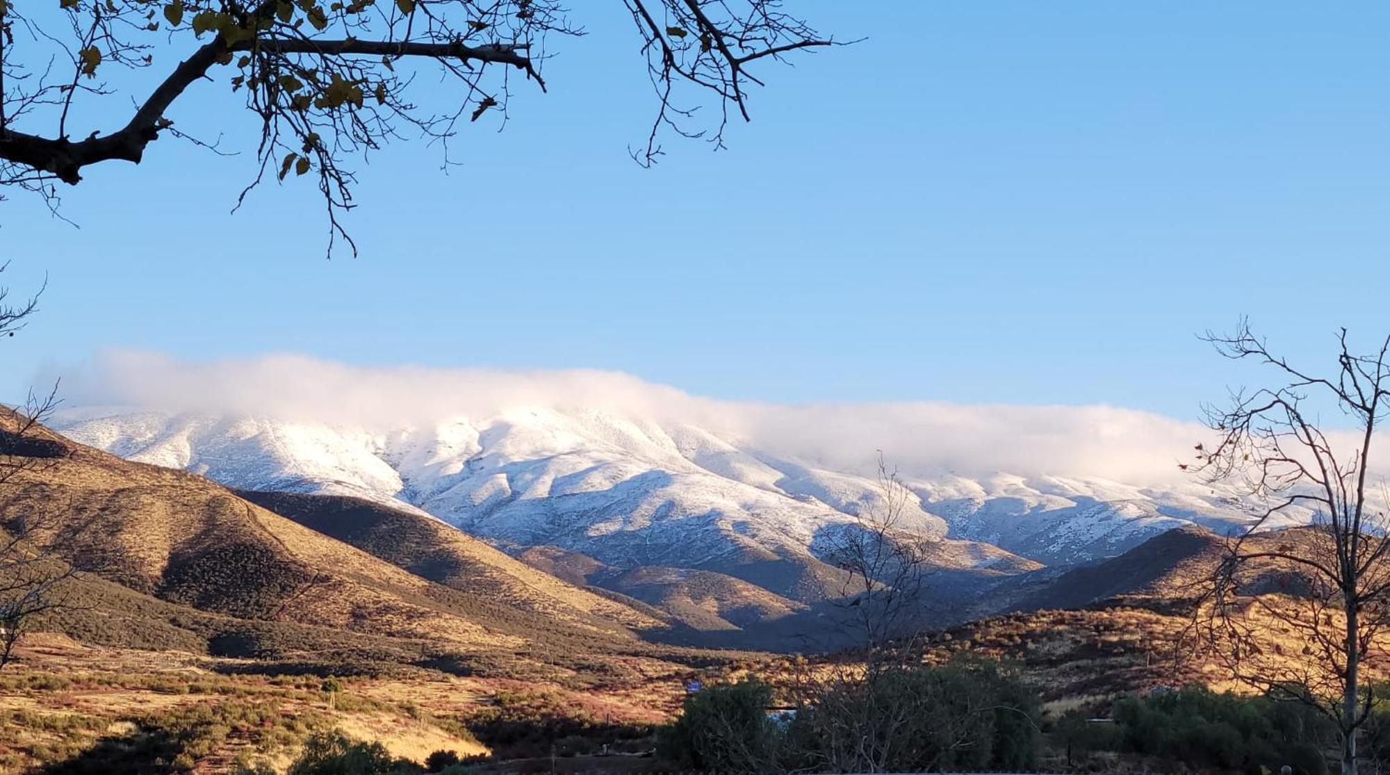Alpaca Rustic Ranch-Peaceful & Breathtaking Views Apartment Santa Clarita Bagian luar foto
